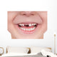 Toothless smile Wall Decal