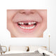 Toothless smile Wall Decal