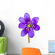 Hepatica Flower