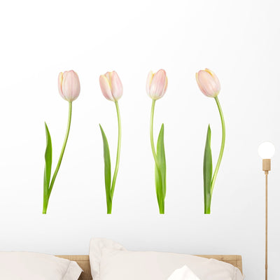 Tulip Collection Wall Stickers shown on a wall