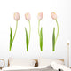 Tulip Collection Wall Decal