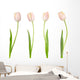 Tulip Collection Wall Decal