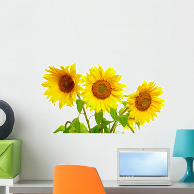 Three Sunflowers Wall Decal shown on a wall