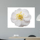 Plum Flower Wall Decal