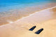 Snorkeling Fins Beach Wall Decal