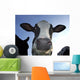Cow Wall Mural