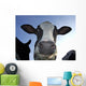 Cow Wall Mural