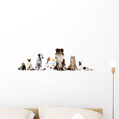 Sitting Pets Wall Decal shown on a wall