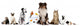 Pets Sitting in Front of White Background Wall Decal