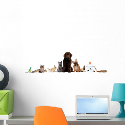Group Seated Pets Wall Decal shown on a wall