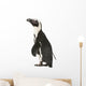 African Penguin Wall Decal