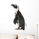 African Penguin Wall Decal
