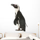 African Penguin Wall Decal