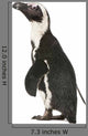 African Penguin Wall Decal