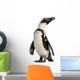 African Penguin Spheniscus Demersus 10 Years Old Wall Decal
