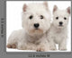 Two West Highland Terrier Wall Decal
