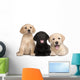 Three Labrador Puppies 7