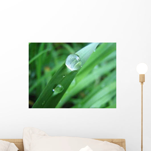 Drop Wall Decal Design 1