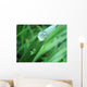 Drop Wall Decal Design 1
