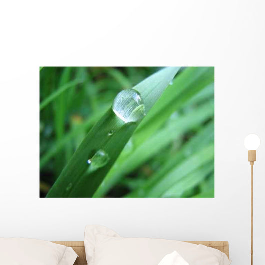 Drop Wall Decal Design 1