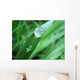 Drop Wall Decal Design 1
