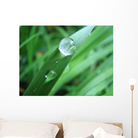 Drop Wall Decal Design 1