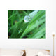Drop Wall Decal Design 1