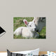 lamb & mother Wall Mural