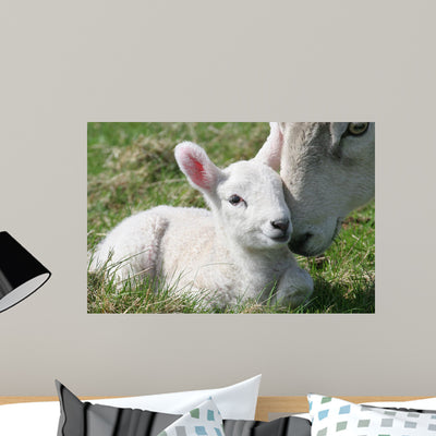 Lamb Mother Wall Mural shown on a wall