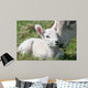 lamb & mother Wall Mural