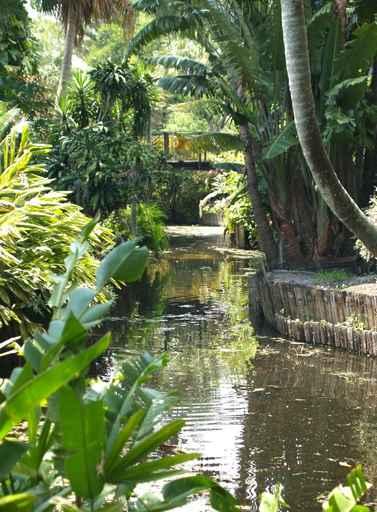 Jungle Stream Wall Decal