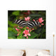 Zebra Longwing Wall Mural