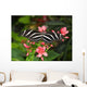 Zebra Longwing Wall Mural