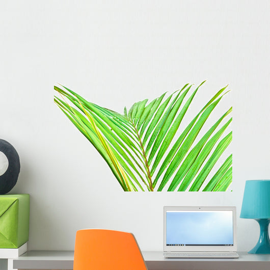 Palme Verte Sur Fond Wall Mural