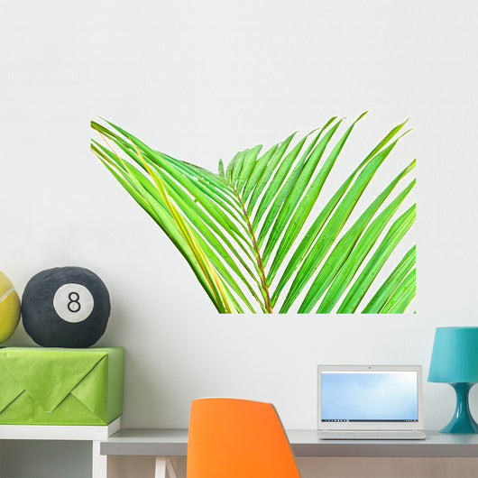 Palme Verte Sur Fond Wall Mural