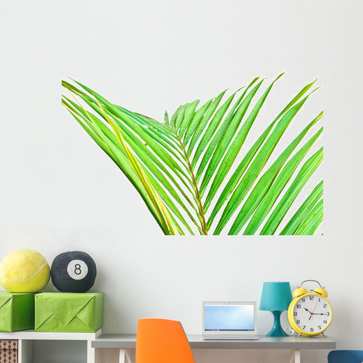 Palme Verte Sur Fond Wall Mural
