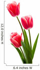 Red tulips with white border Wall Decal