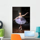 Ballerina Sulle Punte