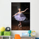 Ballerina Sulle Punte