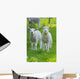 Easter lambs Wall Decal