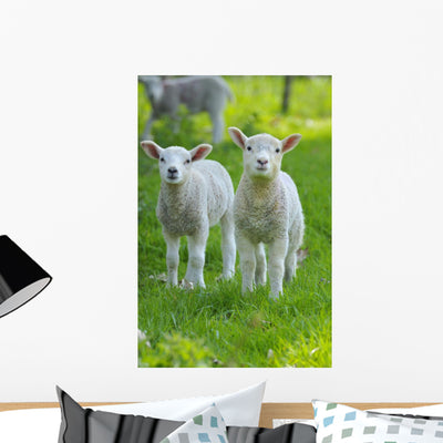 Easter Lambs Wall Decal shown on a wall