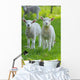 Easter lambs Wall Decal