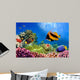 Marine Life on the Coral Reef Wall Mural