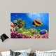 Marine Life on the Coral Reef Wall Mural