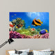 Marine Life on the Coral Reef Wall Mural