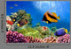 Marine Life on the Coral Reef Wall Mural