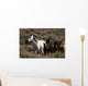 Wild Horses and Young