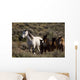 Wild Horses and Young