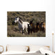 Wild Horses and Young