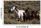 Wild Horses and Young